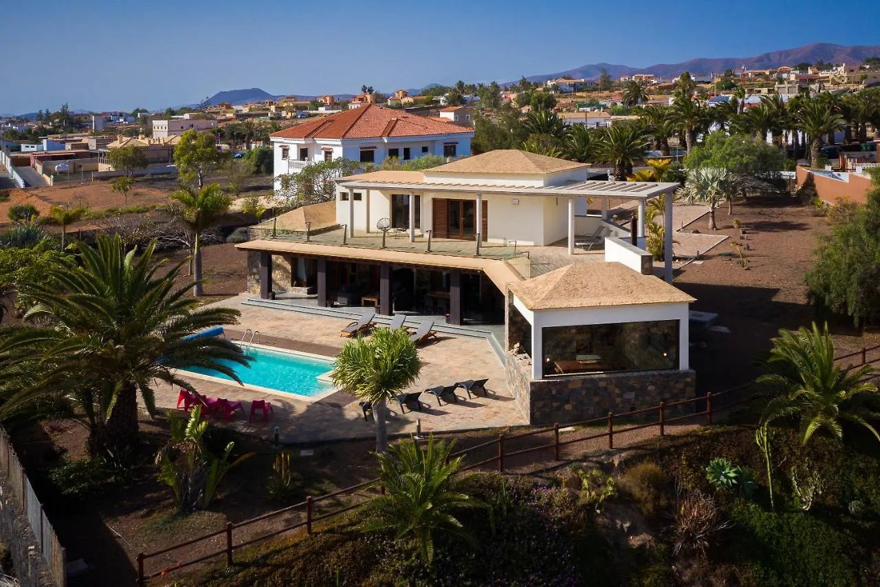 Homeforguest Oasis Villa With Swimming Pool In 4000M2 Garden Трикивихате Испания